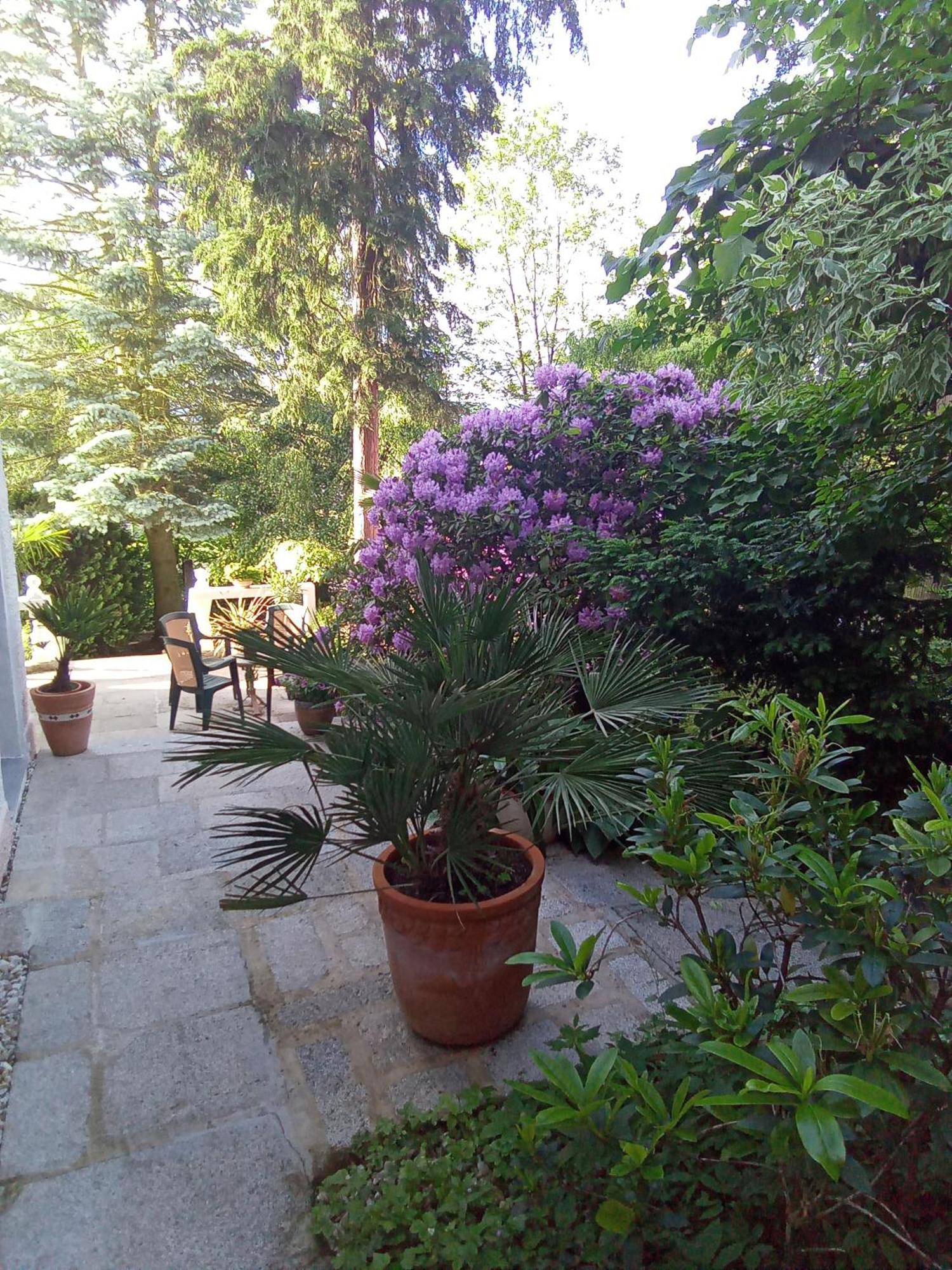 Pension Baron Schoeneck Karlovy Vary Exterior photo