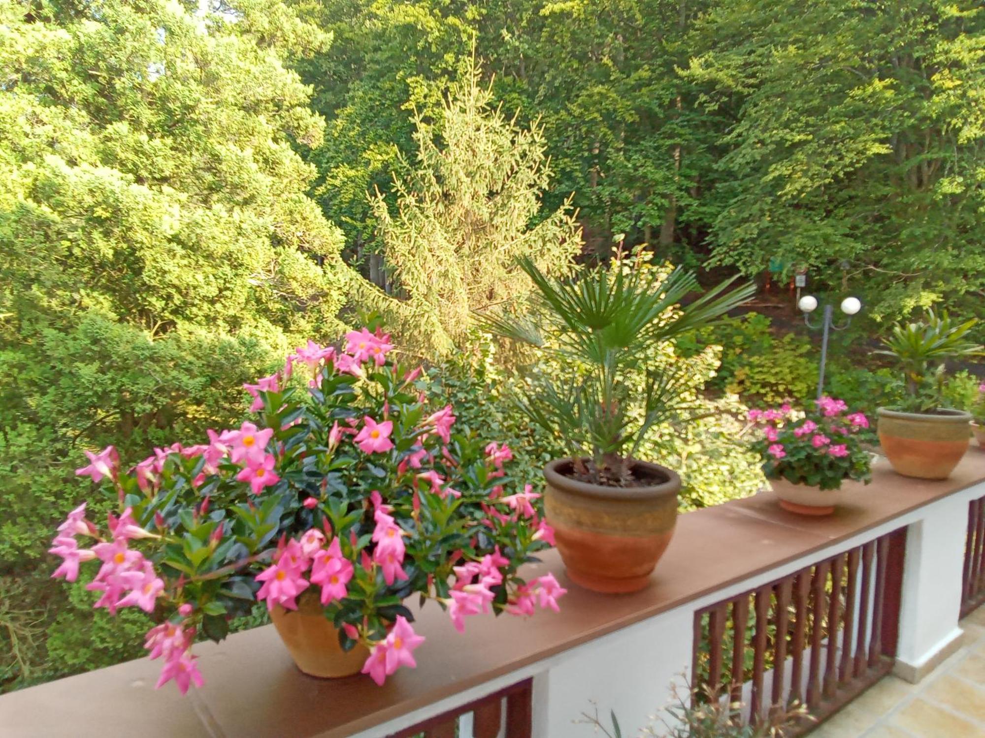 Pension Baron Schoeneck Karlovy Vary Exterior photo